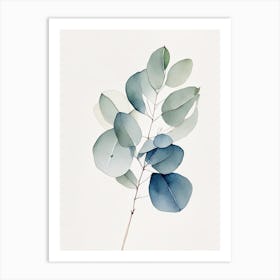 Eucalyptus Herb Minimalist Watercolour 1 Art Print