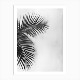 Black And White Palm Leaves 6 Art Print