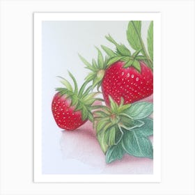 June Bearing Strawberries, Plant, Pencil Colour Art Print