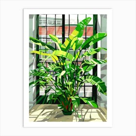 Banana Plant In Front Of Window Art Print