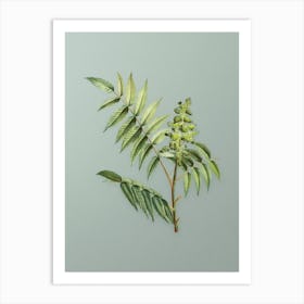 Vintage Staghorn Sumac Botanical Art on Mint Green n.0264 Art Print