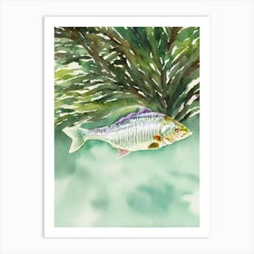 Mulloway II Storybook Watercolour Art Print