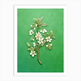Vintage White Plum Flower Botanical Art on Classic Green Art Print