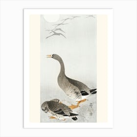 Two Geese (1900 1910), Ohara Koson Art Print