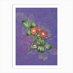 Vintage Redleaf Rose Botanical Illustration on Veri Peri Art Print