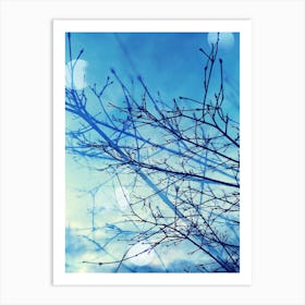 Blue sky trees Art Print