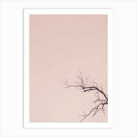 Bare Tree Against A Pink Sky Art Print