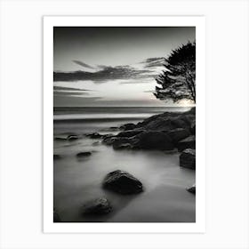 Lone Tree 28 Art Print