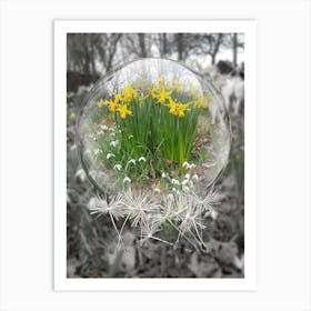 Daffodils Art Print