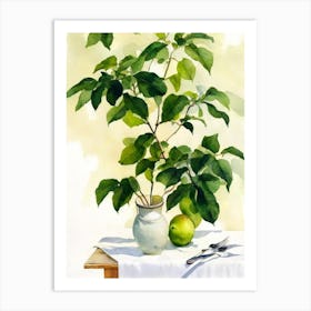 White Sapote Italian Watercolour fruit Art Print
