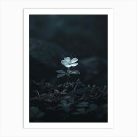 Flower In The Dark 53 Art Print