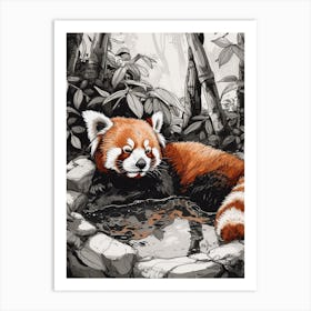 Red Panda Relaxing In A Hot Spring Ink Illustration 2 Art Print