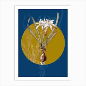 Vintage Botanical Sea Daffodil on Circle Yellow on Blue Art Print