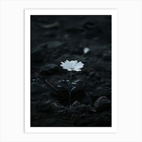 Flower In The Dark 20 Art Print