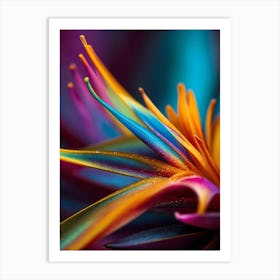 Colorful Flower Art Print