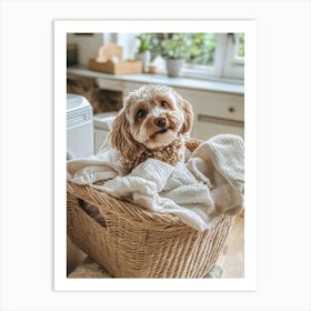 Cavapoo Hiding In The Laundry Art Print