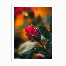 Poster Flower Art Print 11 Art Print