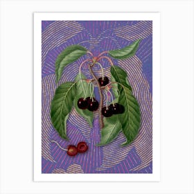 Vintage Hard Fleshed Cherry Botanical Illustration on Veri Peri Art Print