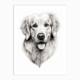 Golden Retriever In The Shape Of A Heart Pencil Line Drawing Art Print