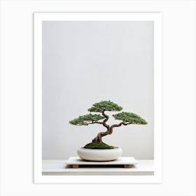 Small Bonsai Tree Minimalist Aesthetic Soft Shadows Cast On Neutral Background Serene And Tranqui Art Print