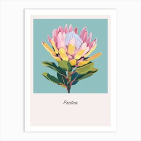 Protea 2 Square Flower Illustration Poster Art Print