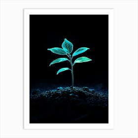 Plant Growing In The Dark 17 Art Print