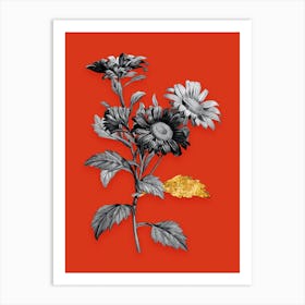 Vintage Red Aster Flowers Black and White Gold Leaf Floral Art on Tomato Red n.0093 Art Print