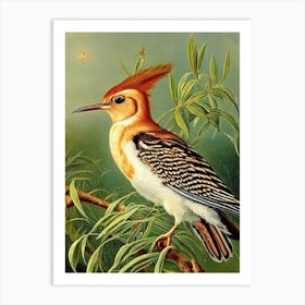 Hoopoe Haeckel Style Vintage Illustration Bird Art Print