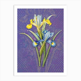 Vintage Spanish Iris Botanical Illustration on Veri Peri n.0741 Art Print