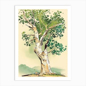 Sycamore Tree Storybook Illustration 2 Art Print