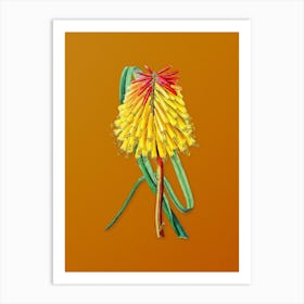Vintage Burchell's Tritoma Botanical on Sunset Orange n.0807 Art Print