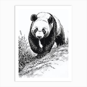 Giant Panda Cub Sliding Down A Hill Ink Illustration 2 Art Print