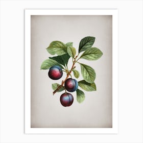 Vintage Cherry Plum Botanical on Parchment n.0627 Art Print