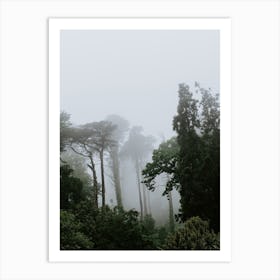 Trees in the park of the National Palace of Pena, Sintra Art Print