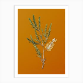 Vintage Swamp Paperbark Branch Botanical on Sunset Orange Art Print