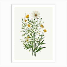 Vintage Botanical Galleria Style Wildflower Painting 48 Art Print