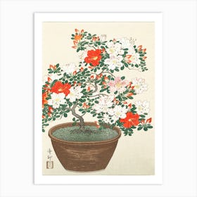 Blooming Azalea In Brown Pot (1920 1930), Ohara Koson Art Print