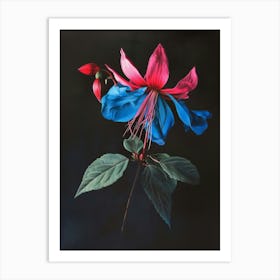 Fuchsia Art Print