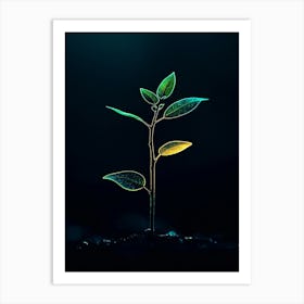 Plant Sprouting On Dark Background Art Print