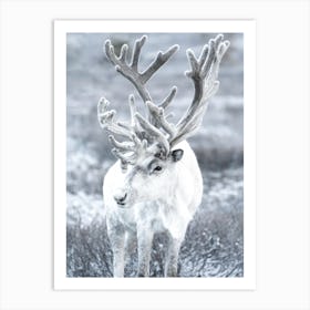 White Reindeer Art Print