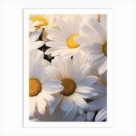 Daisies 1 Art Print