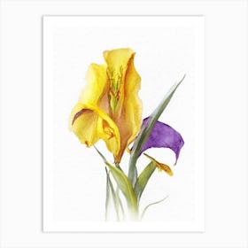 Yellow Flag Iris Wildflower Watercolour 1 Art Print