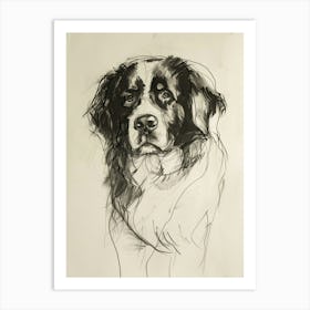 Bernese Mountain Dog Charcoal Line 1 Art Print