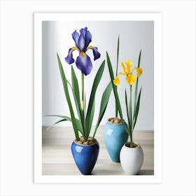 Three Iris Art Print