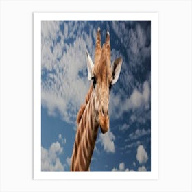 Giraffe Art Print