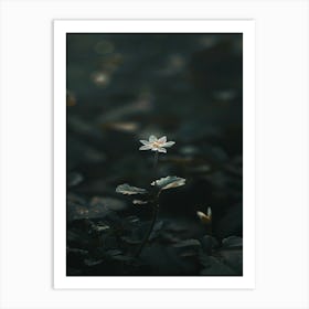 Lotus Flower 56 Art Print