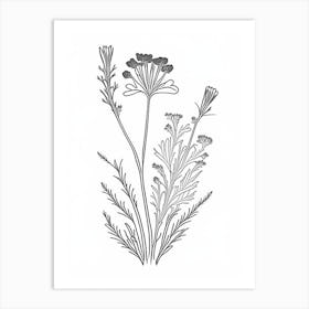 Costmary Herb William Morris Inspired Line Drawing 3 Art Print