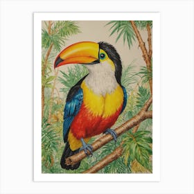 Toucan 36 Art Print