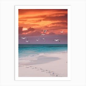 Seagulls On The Beach Art Print