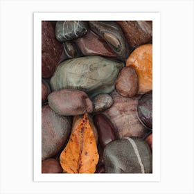 River Rocks Art Print